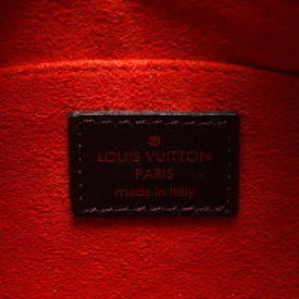 LOUIS VUITTON Damier Sauvage Tiger Handbag Brown - Picture 9 of 12